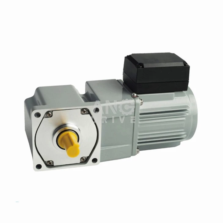 AC right angle solid shaft gear motor without fan