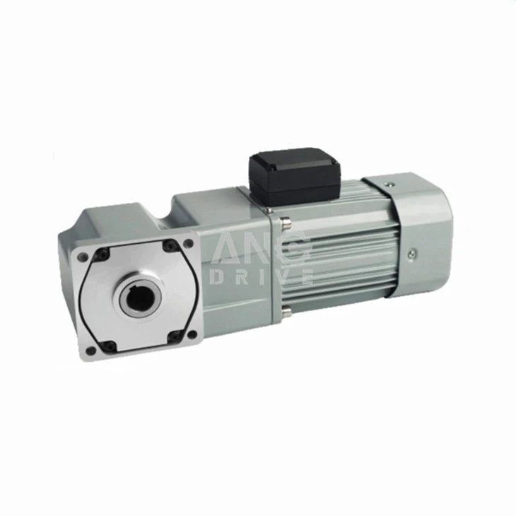 AC right angle hollow shaft gear motor with fan