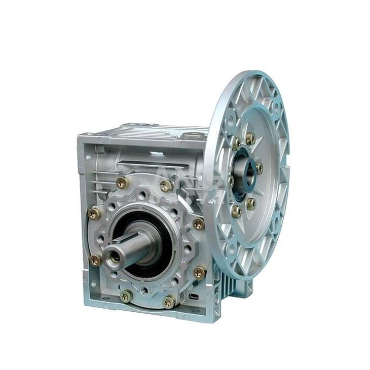 NMRV worm reducer with output shaft