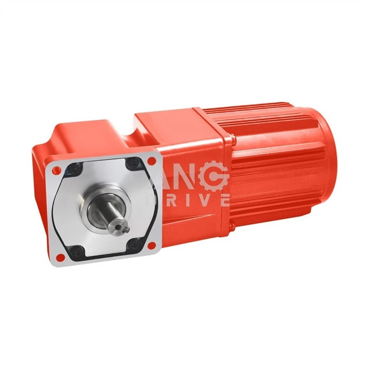 Hoist gear unit