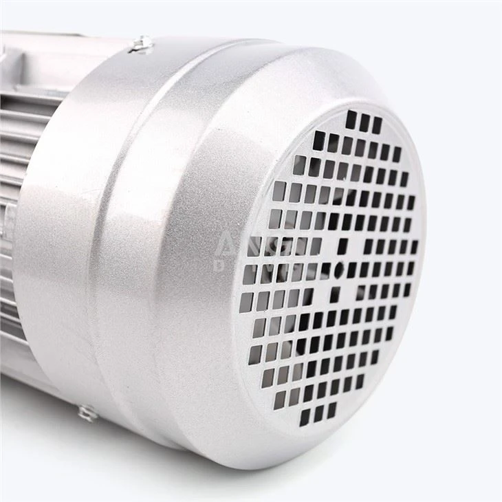 single phase electric motor