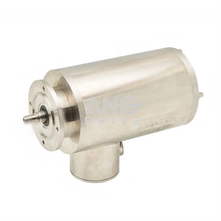 waterproof electric motor