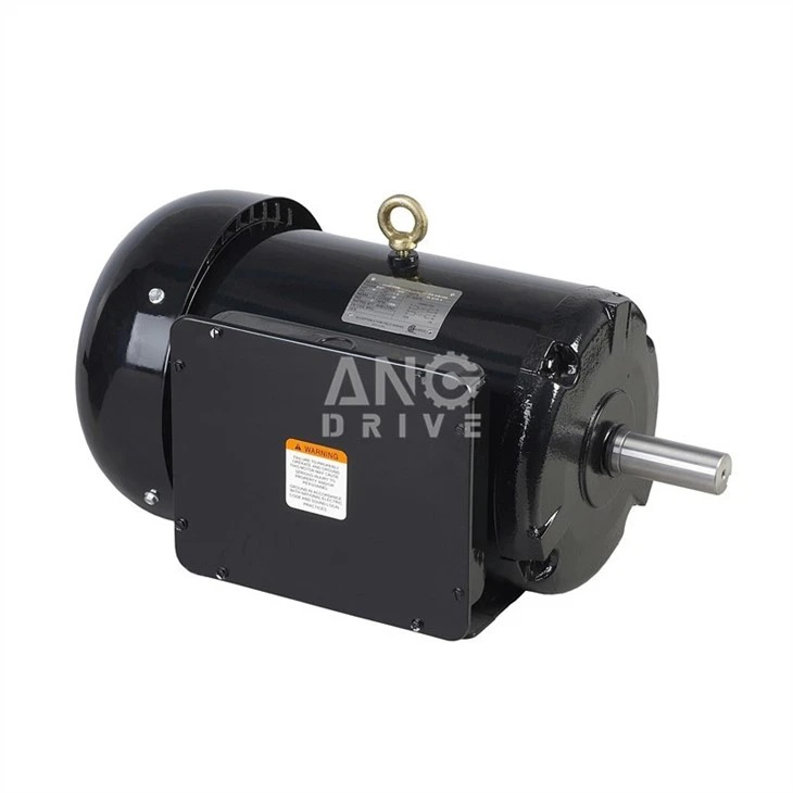 3 phase nema motor