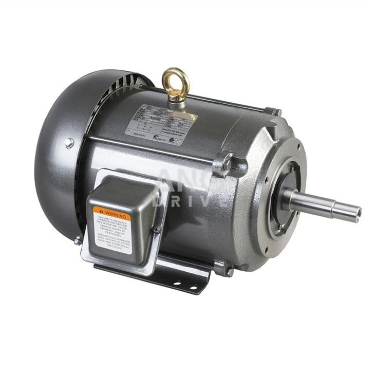 1 phase nema motor