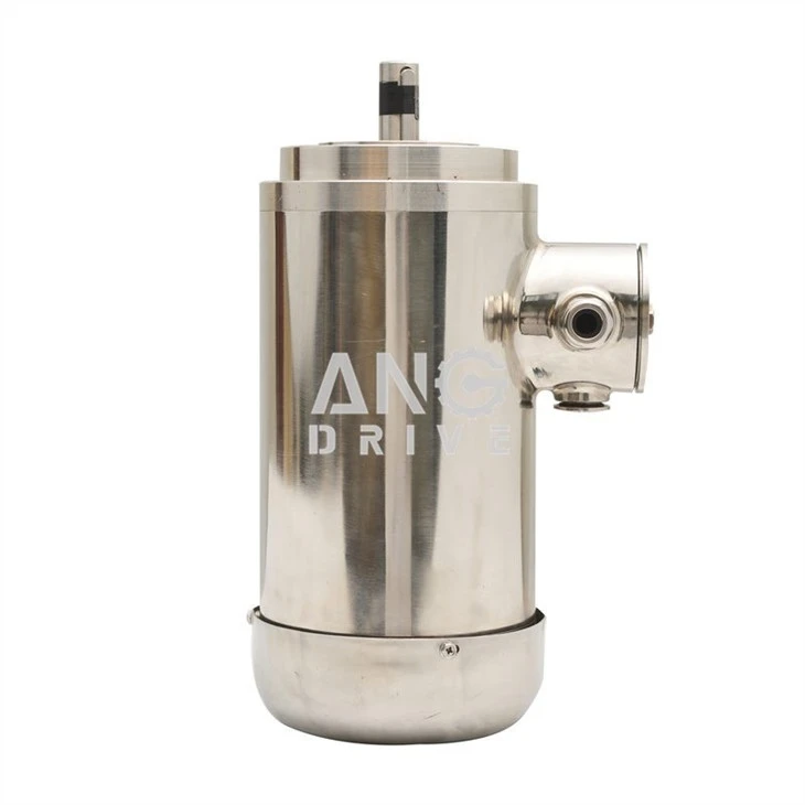 stainless steel electronic motor